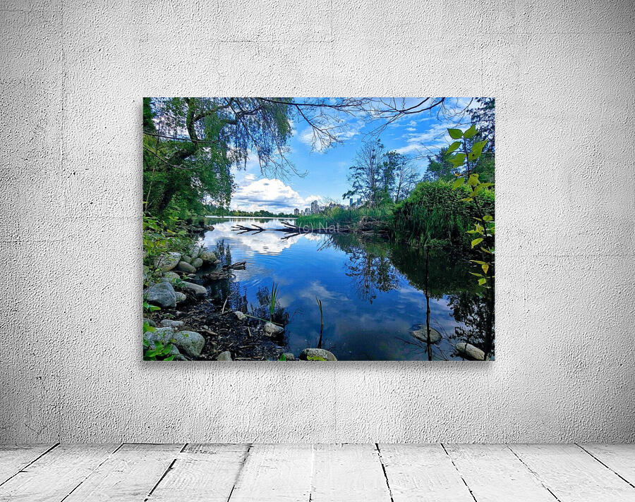 LOST LAGOON Wall Preview