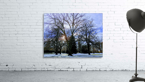 WINTER TREE Wall Preview