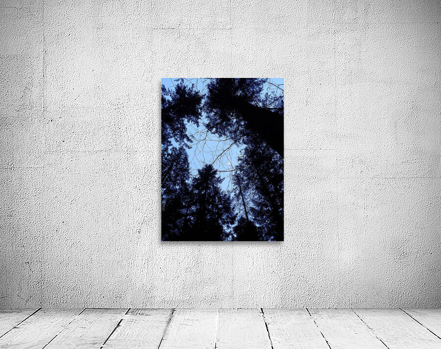 TREETOPS Wall Preview
