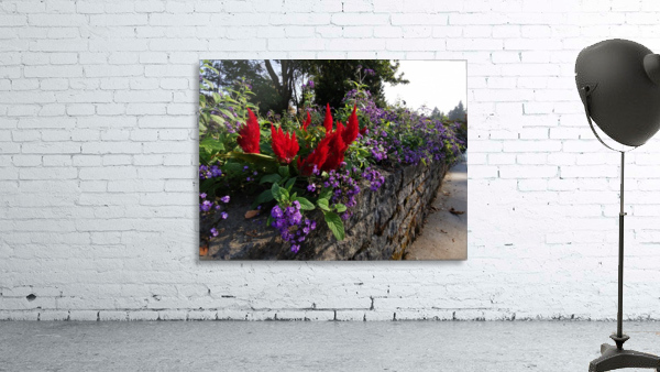 FLOWER GARDEN Wall Preview