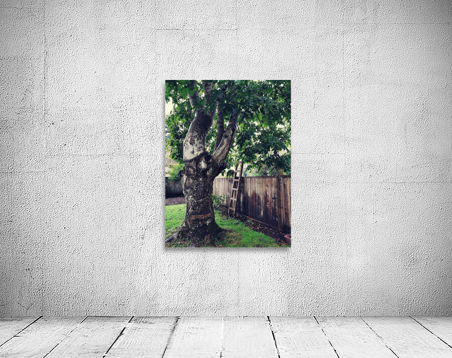 BACKYARD TREE Wall Preview