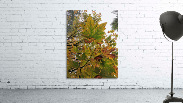 AUTUMN LEAVES Wall Preview