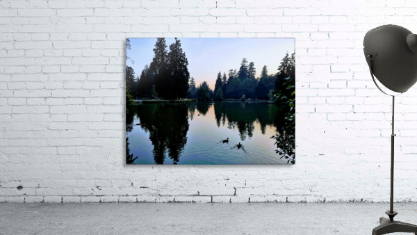DUCK DUCK Wall Preview