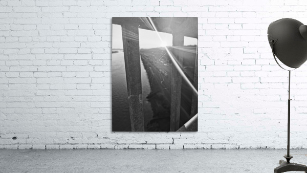 SPIDER WEB Wall Preview