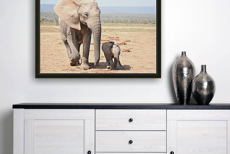 Elephant calf and cow by Elca Burger Photography