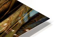 Ayudtthaya HD Metal print