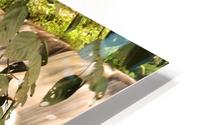 Waterfall SA HD Metal print