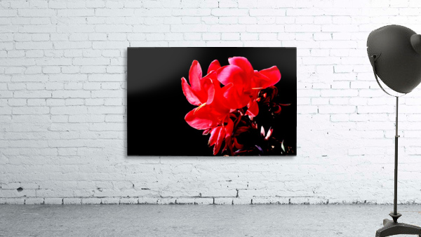 Pink Flower Wall Preview