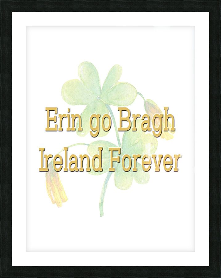 Ireland Forever 2 Picture Frame print
