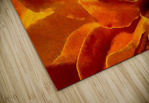 Marigold Macro HH Photography of Florida puzzle
