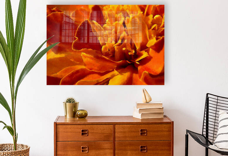 Marigold Macro by HH Photography of Florida