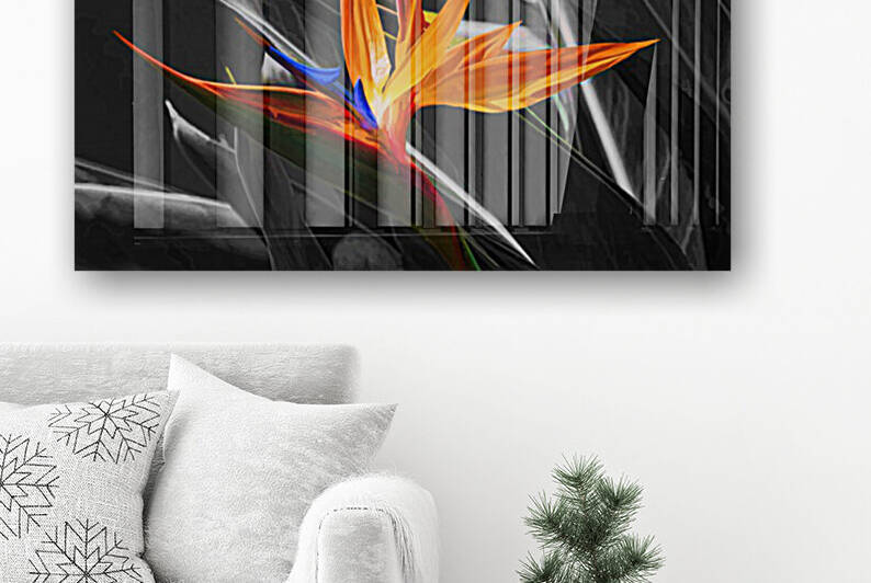 Flower-A Bird In Paradise by HH Photography of Florida