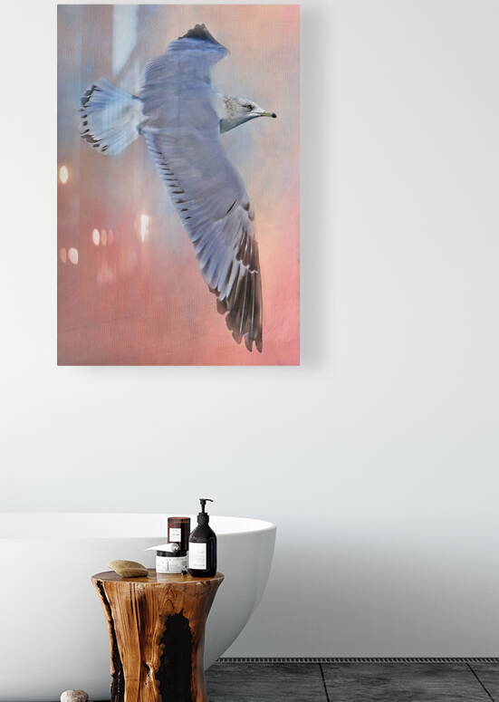 Soaring Seagull  by HH Photography of Florida