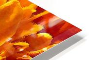 Marigold Macro HD Metal print