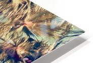Island Palms HD Metal print