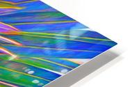 Colorful Palm Frond Abstract HD Metal print