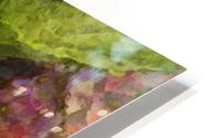 Hydrangea Blossoms  HD Metal print