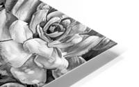 Succulent Garden BW HD Metal print