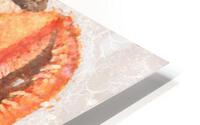 Seashells From The Seashore HD Metal print