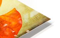 Sun Lit Seagrape HD Metal print