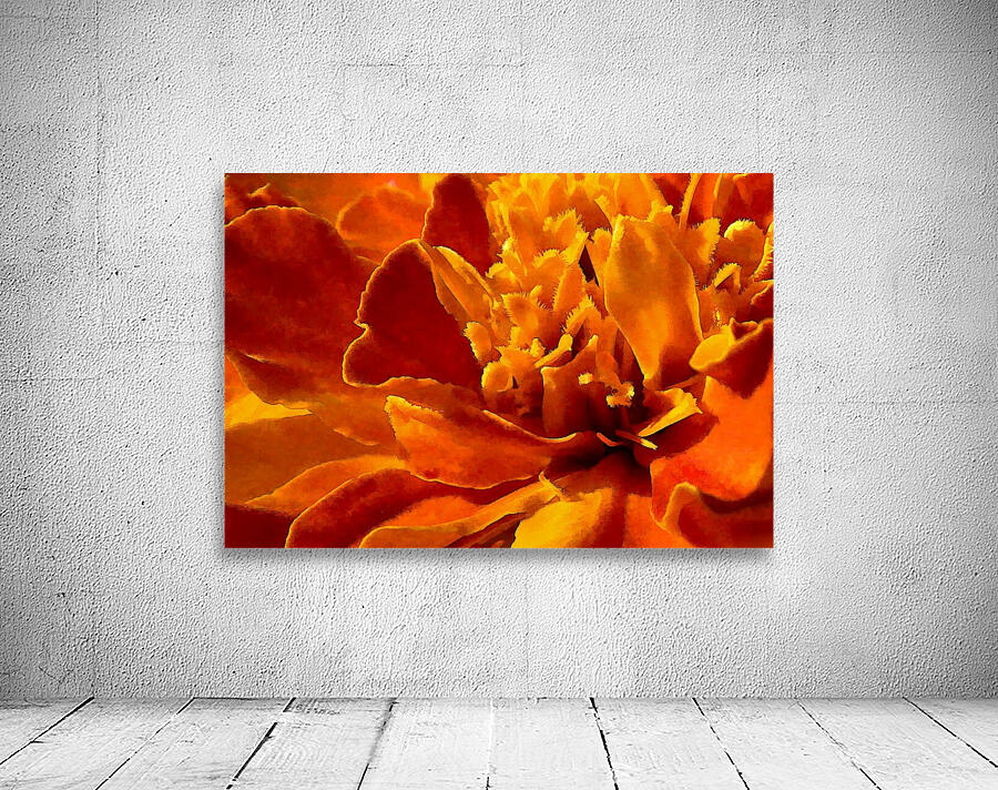 Marigold Macro Wall Preview