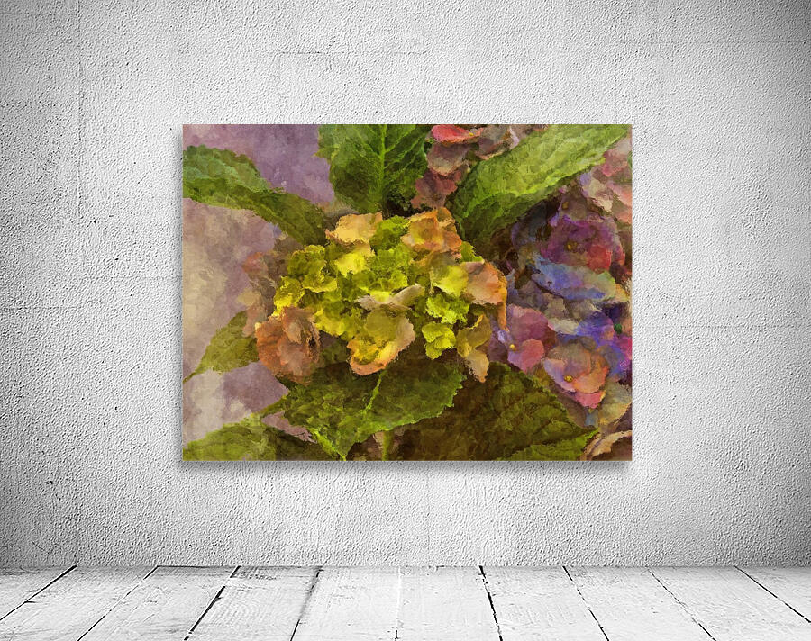 Hydrangea Blossoms  Wall Preview