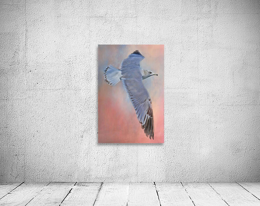 Soaring Seagull  Wall Preview