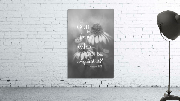 The Good News BW Wall Preview
