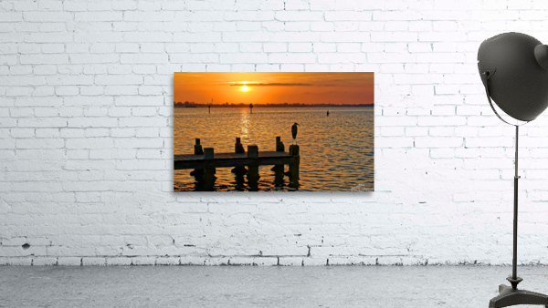 Early Birds Wall Preview