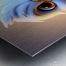 12 cute little cartoon looking hawk Metal print