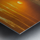 Fading Sunlight  Metal print