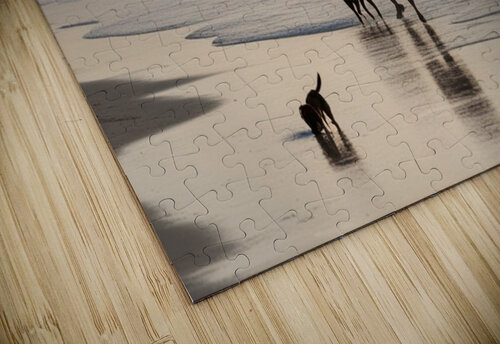 FAMILY FISHING NW OHIO IMAGES 42 puzzle