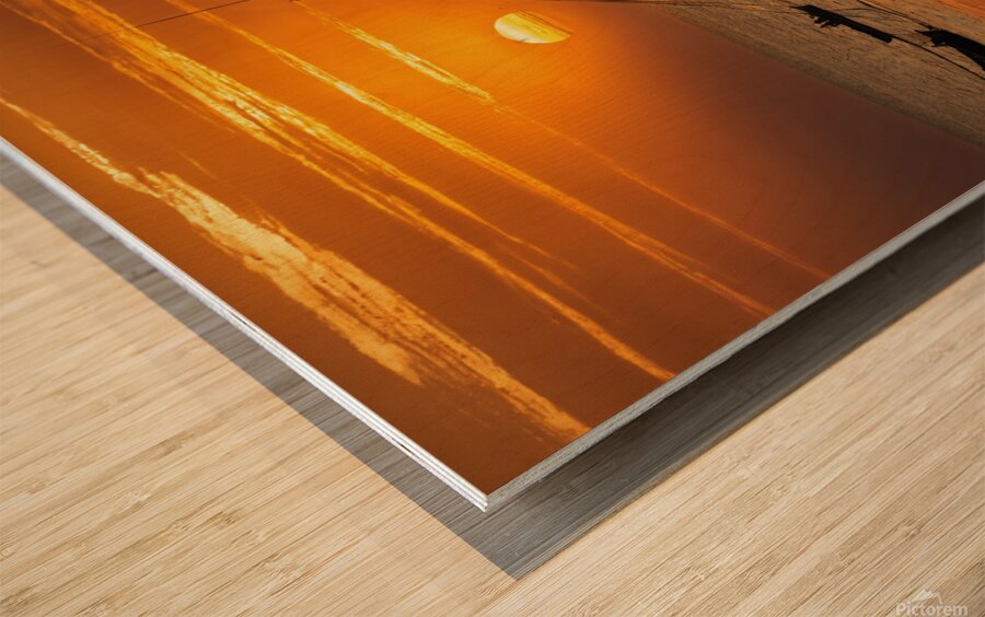 Fading Sunlight  Wood print