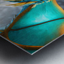 WINTER FOREST DRAGON   IMG 3071 BIG Metal print