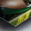 GREEN EYES WOMAN PORTRAIT   IMG 9255 Metal print