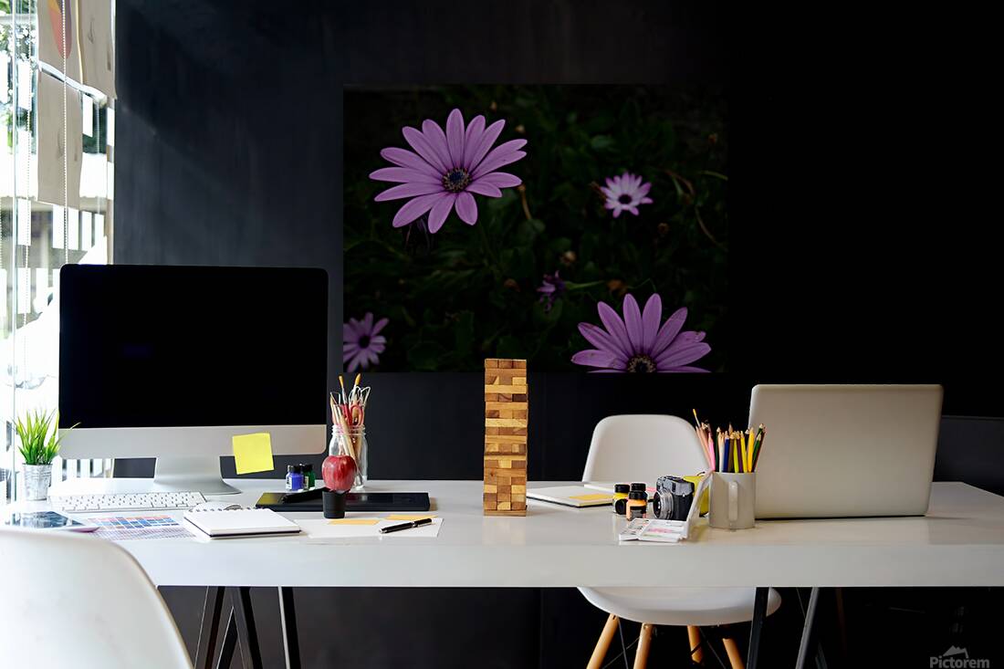 Magic flowers Reproduction