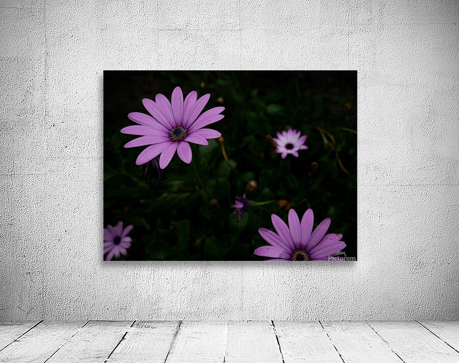 Magic flowers Wall Preview