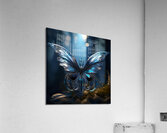 Spread your wing. Acrylic Print