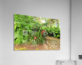 Nevis GR10 Acrylic Print