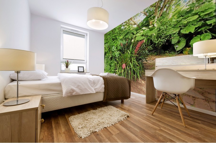 Nevis GR10 Mural print