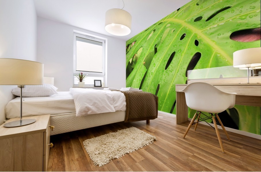 Nevis GR7 Mural print