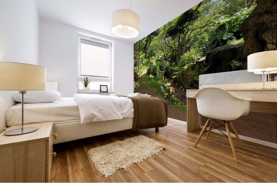 Nevis GR5 Mural print