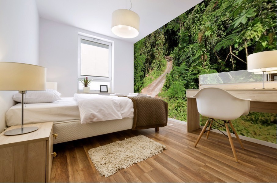 Nevis GR4 Mural print