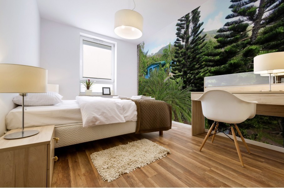 Nevis GR3 Mural print