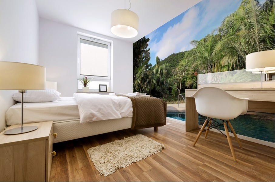Nevis GR2 Mural print