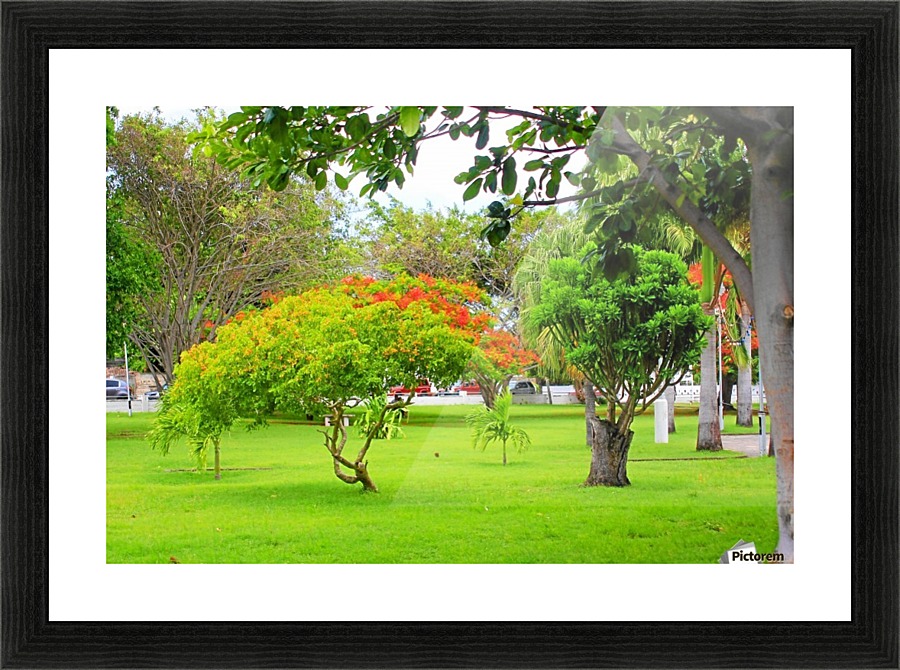 St Kitts Independence Square Picture Frame print