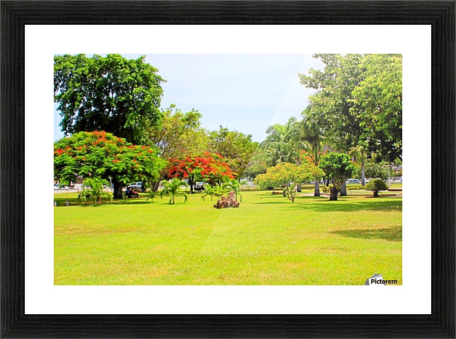 St Kitts Independence Square 4 Picture Frame print