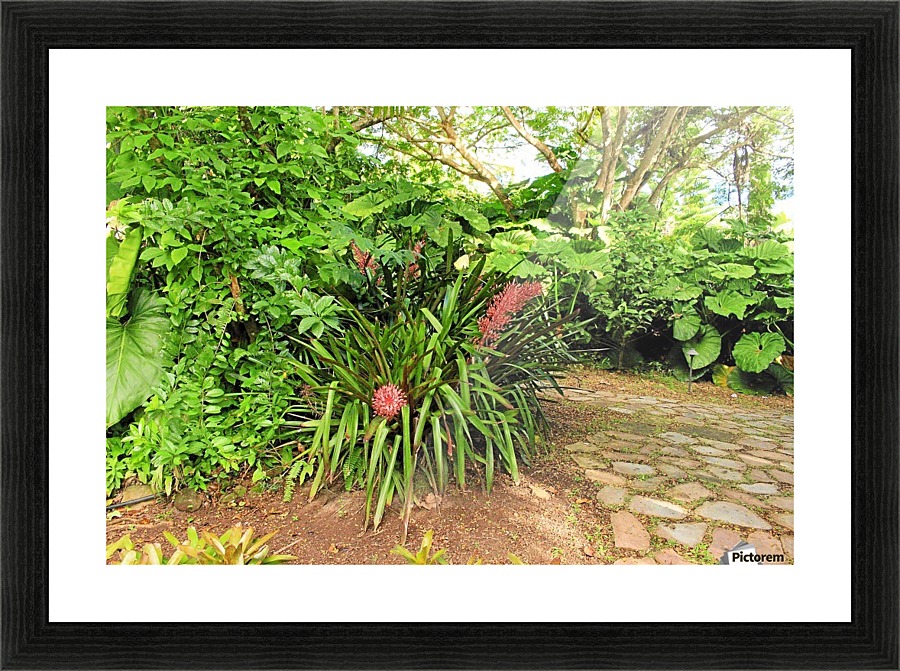 Nevis GR10 Picture Frame print