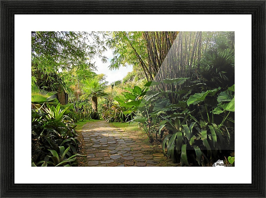 Nevis GR8 Picture Frame print
