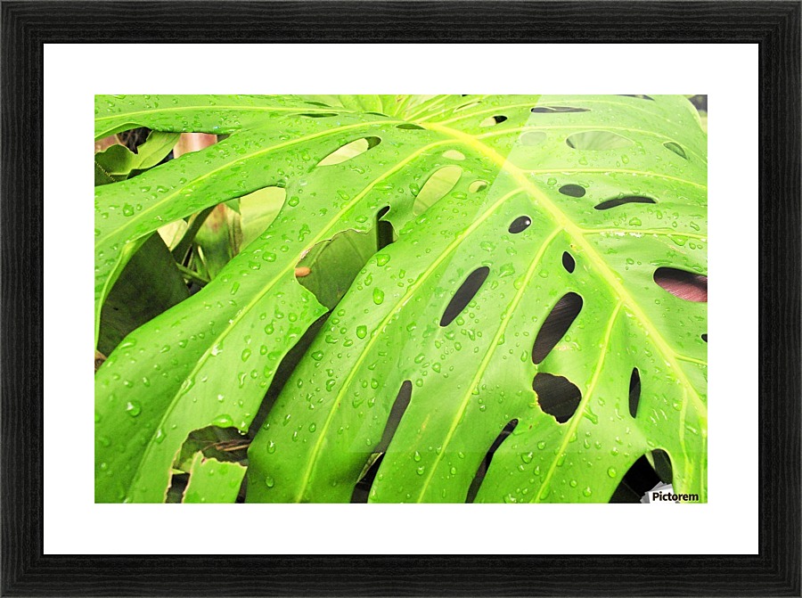 Nevis GR7 Picture Frame print